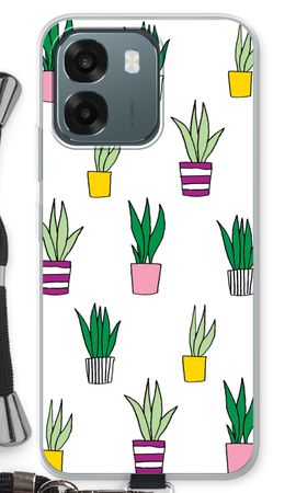 Sanseveria