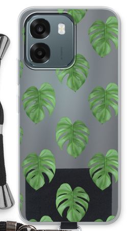 Monstera leaves