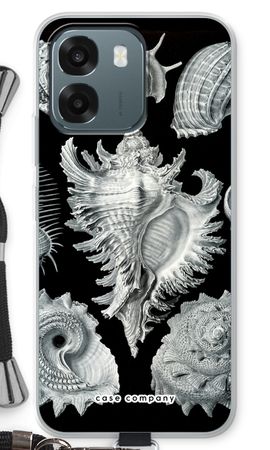 Haeckel Prosobranchia