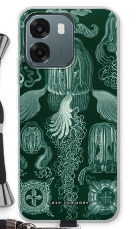 Haeckel Cubomedusae