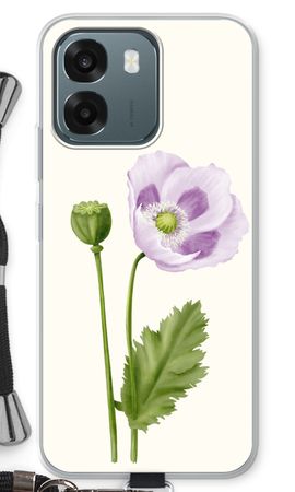 Purple poppy