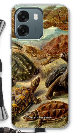 Haeckel Chelonia