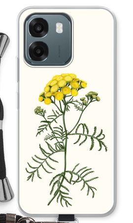 Tansy