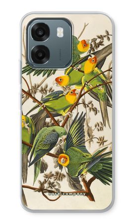 Carolina Parrot