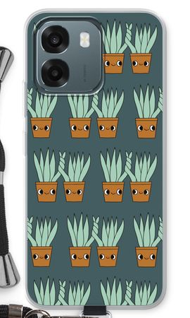 Sansevieria