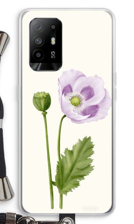 Purple poppy