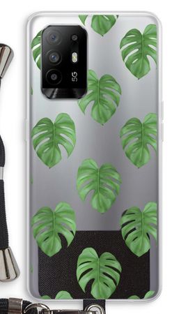 Monstera leaves