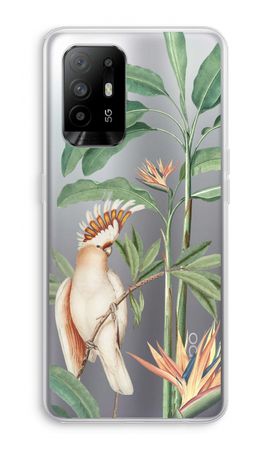 Tropical Parrot
