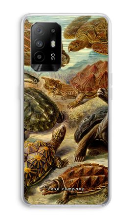 Haeckel Chelonia