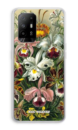 Haeckel Orchidae