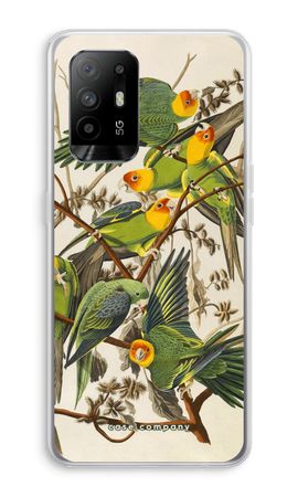 Carolina Parrot