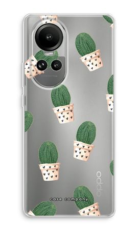 Cactus in Rosa