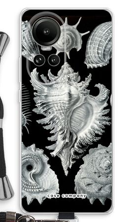 Haeckel Prosobranchia