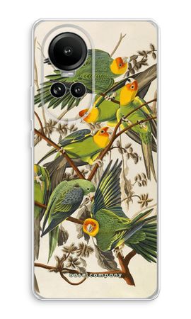 Carolina Parrot