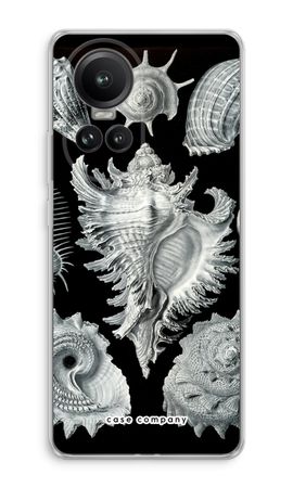 Haeckel Prosobranchia