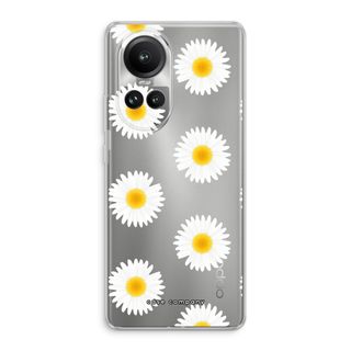 Daisies