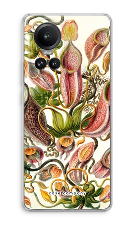 Haeckel Nepenthaceae