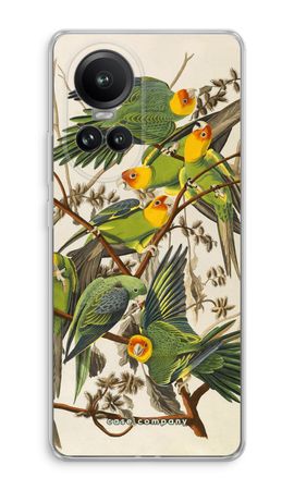 Carolina Parrot