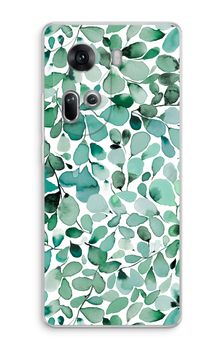 Eucalyptus à feuilles