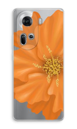 Orange Ellila flower