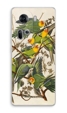 Carolina Parrot