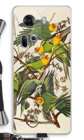 Carolina Parrot