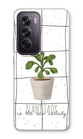 Houseplant on windowpane