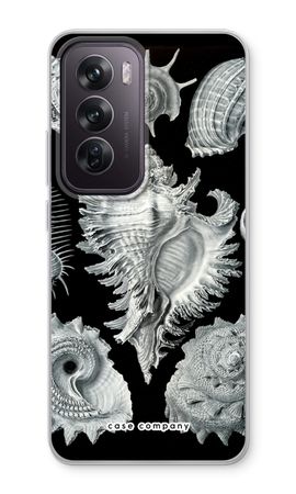 Haeckel Prosobranchia