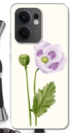 Purple poppy