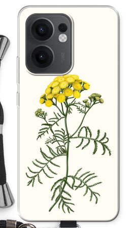 Tansy