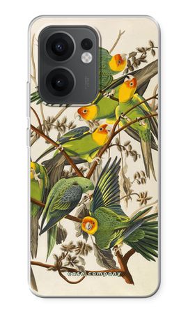 Carolina Parrot