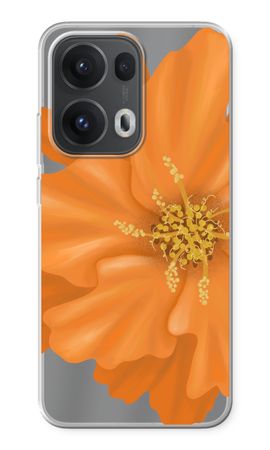 Orange Ellila flower