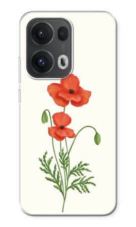 Red poppy