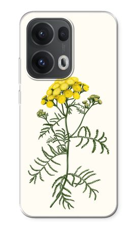 Tansy