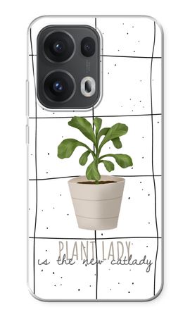 Houseplant on windowpane