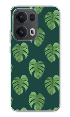 Monstera leaves