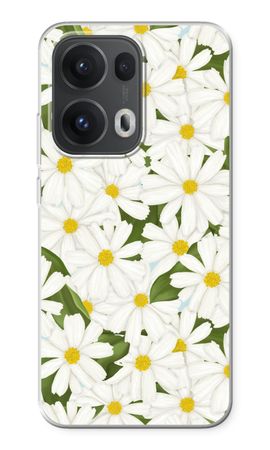 Summer Daisies