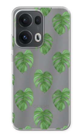 Monstera leaves