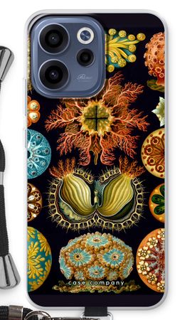 Haeckel Ascidiae