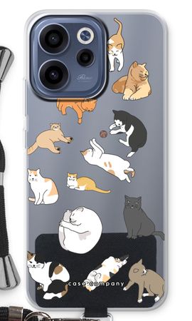 Cats