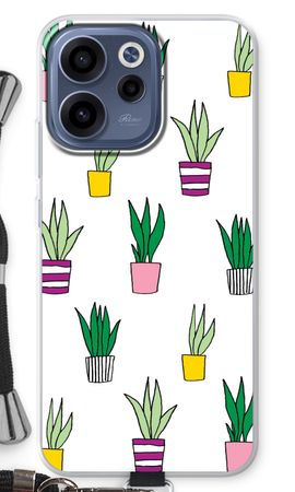 Sanseveria