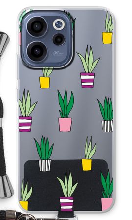 Sanseveria