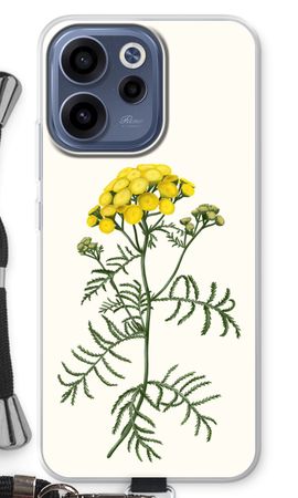 Tansy