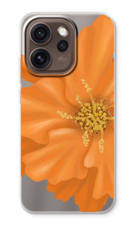 Orange Ellila flower