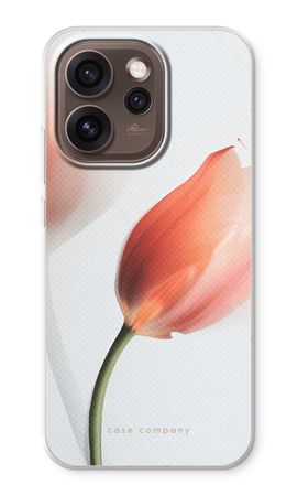 Tulip
