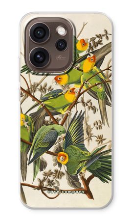 Carolina Parrot