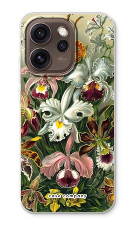 Haeckel Orchidae