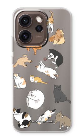 Cats
