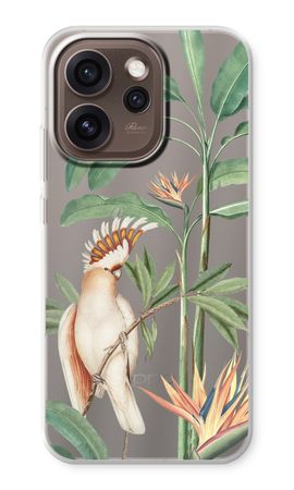 Tropical Parrot