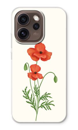 Red poppy